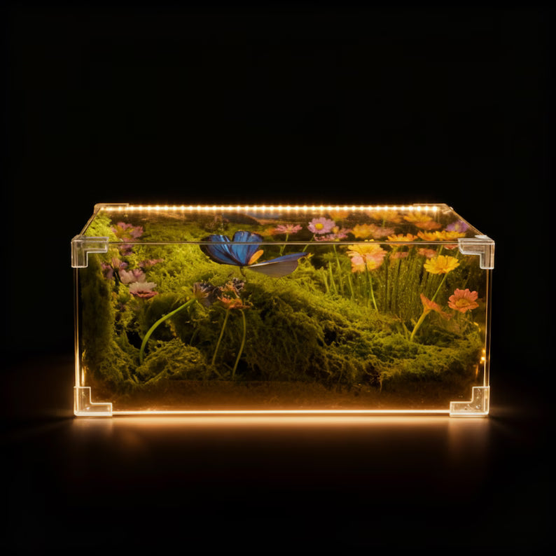 🦋 Kelebekli LED Lamba – Kendi Lambanı Yap!