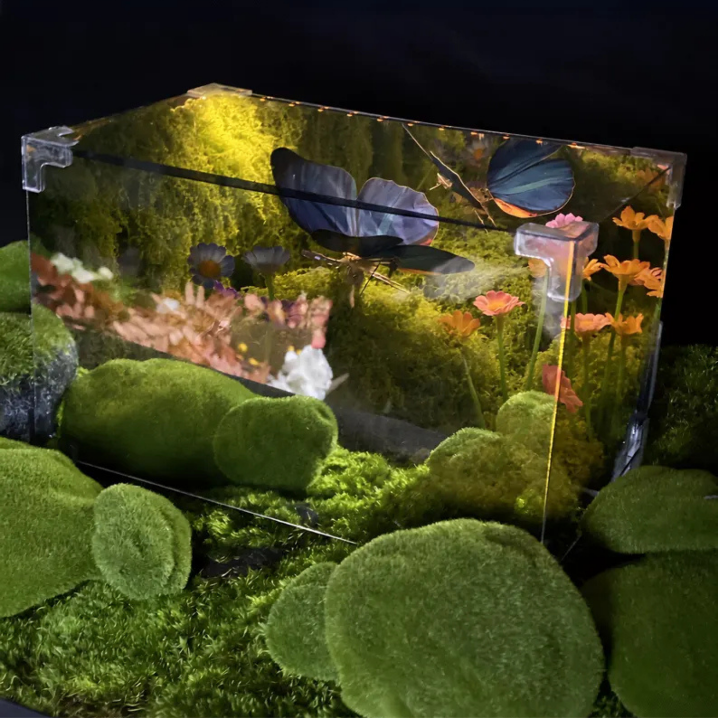 🦋 Kelebekli LED Lamba – Kendi Lambanı Yap!